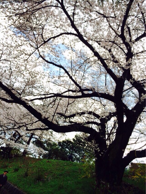 f:id:acchonbrico:20140415093901j:plain f:id:acchonbrico:20140415093901j:plain