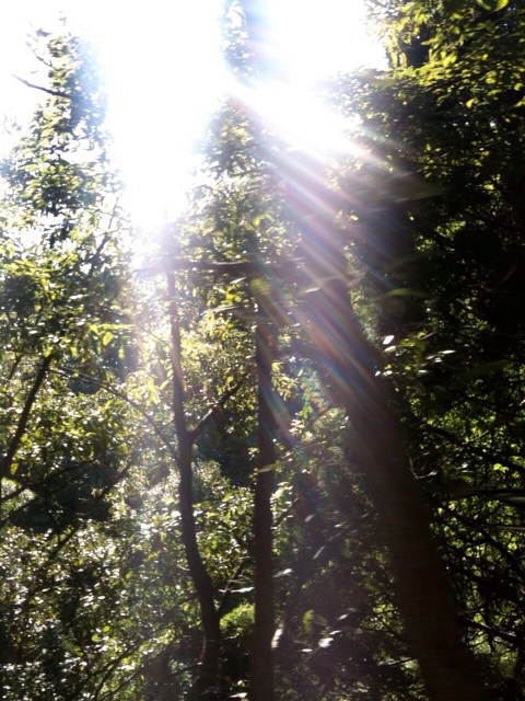 f:id:acchonbrico:20140720031004j:plain f:id:acchonbrico:20140720031004j:plain
