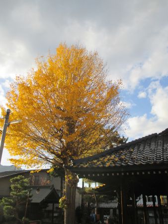 f:id:acha3:20151120152223j:plain f:id:acha3:20151120152223j:plain