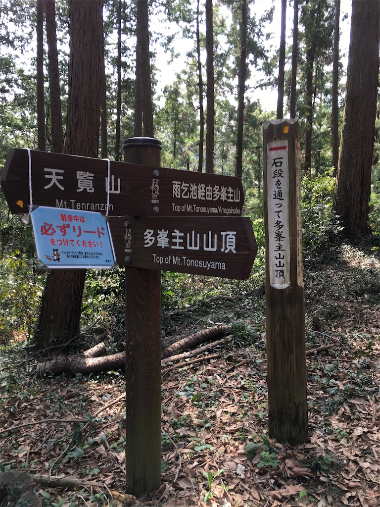 f:id:achahike:20160331195141j:image f:id:achahike:20160331195141j:image