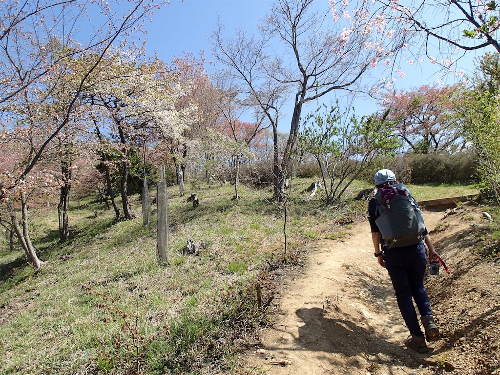 f:id:achahike:20160419222857j:image f:id:achahike:20160419222857j:image