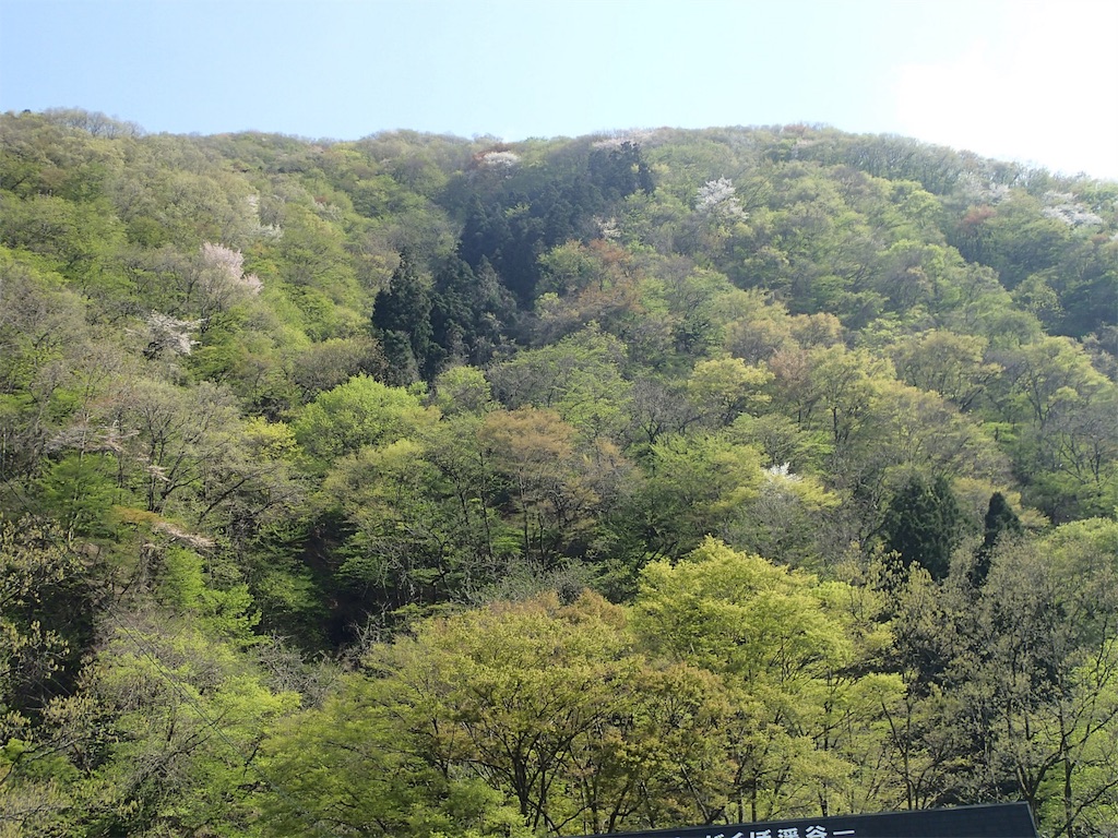 f:id:achahike:20160419231039j:image f:id:achahike:20160419231039j:image