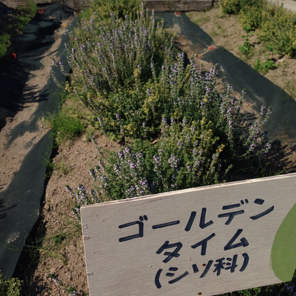 f:id:aclab:20150901203555j:plain f:id:aclab:20150901203555j:plain
