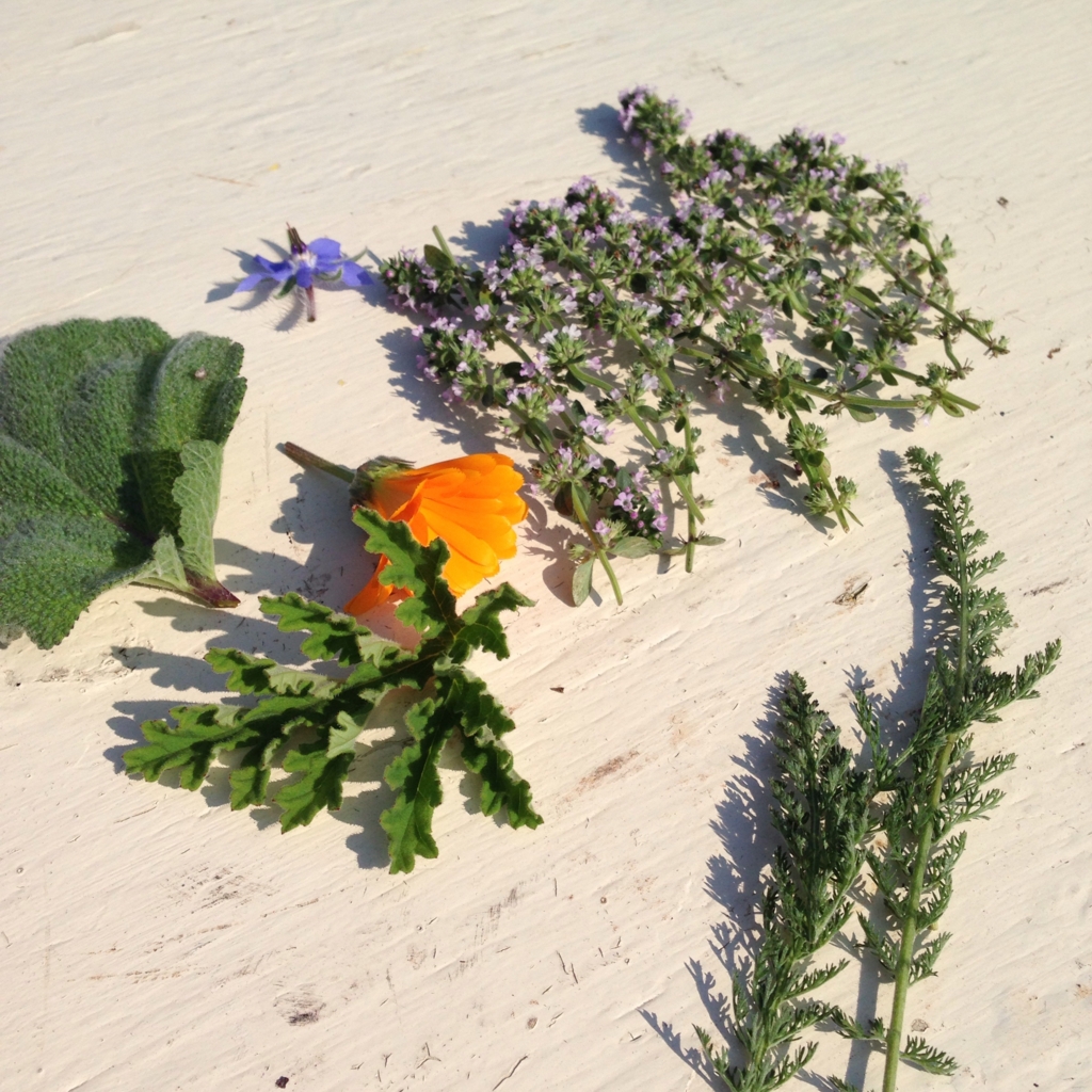 f:id:aclab:20150901203636j:plain f:id:aclab:20150901203636j:plain