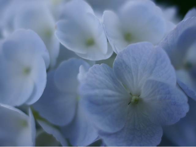 f:id:acopi:20140627160550j:plain