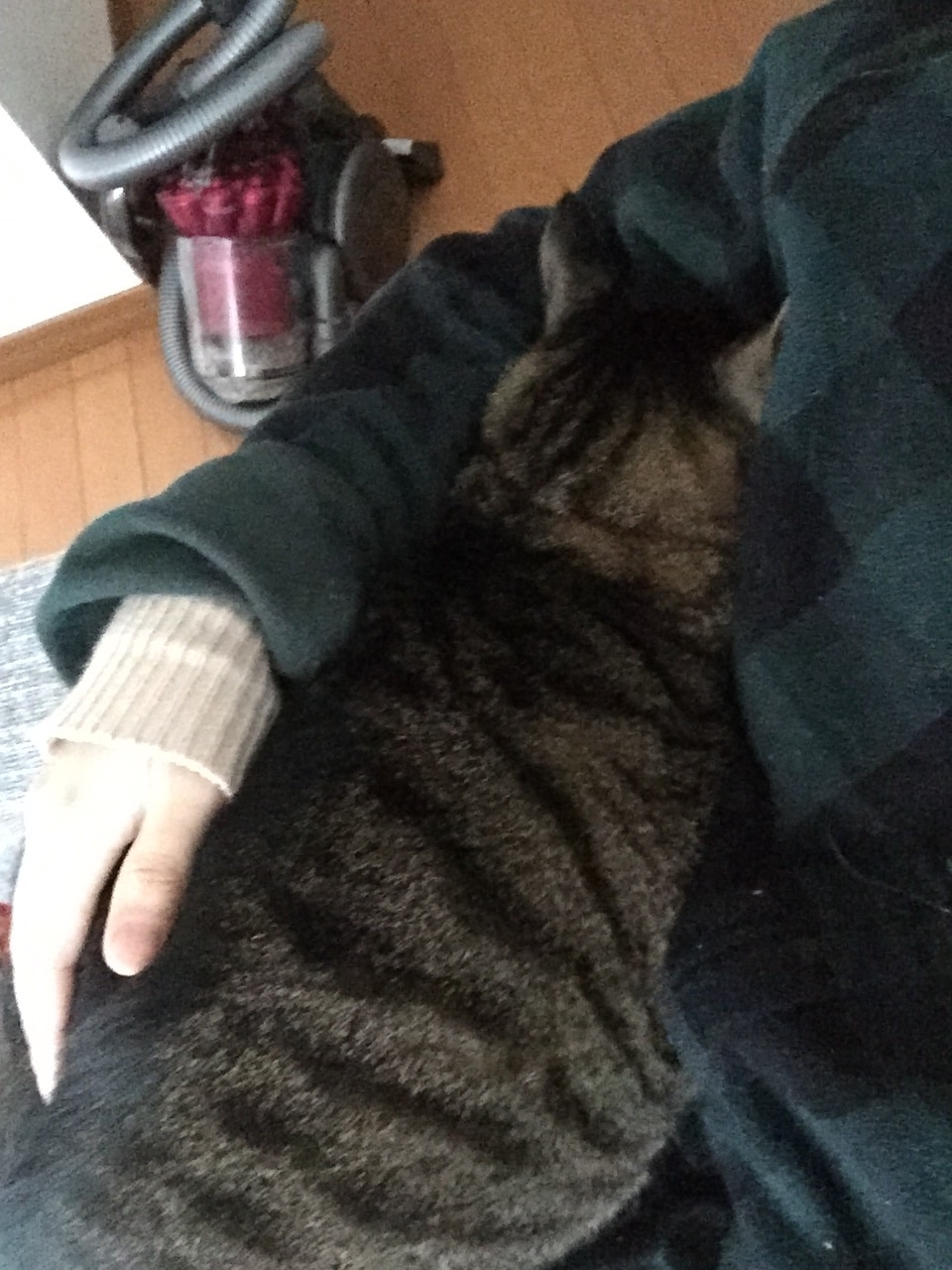 f:id:acopi:20141215161902j:plain