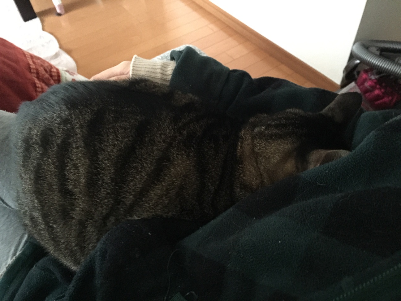 f:id:acopi:20141215162216j:plain