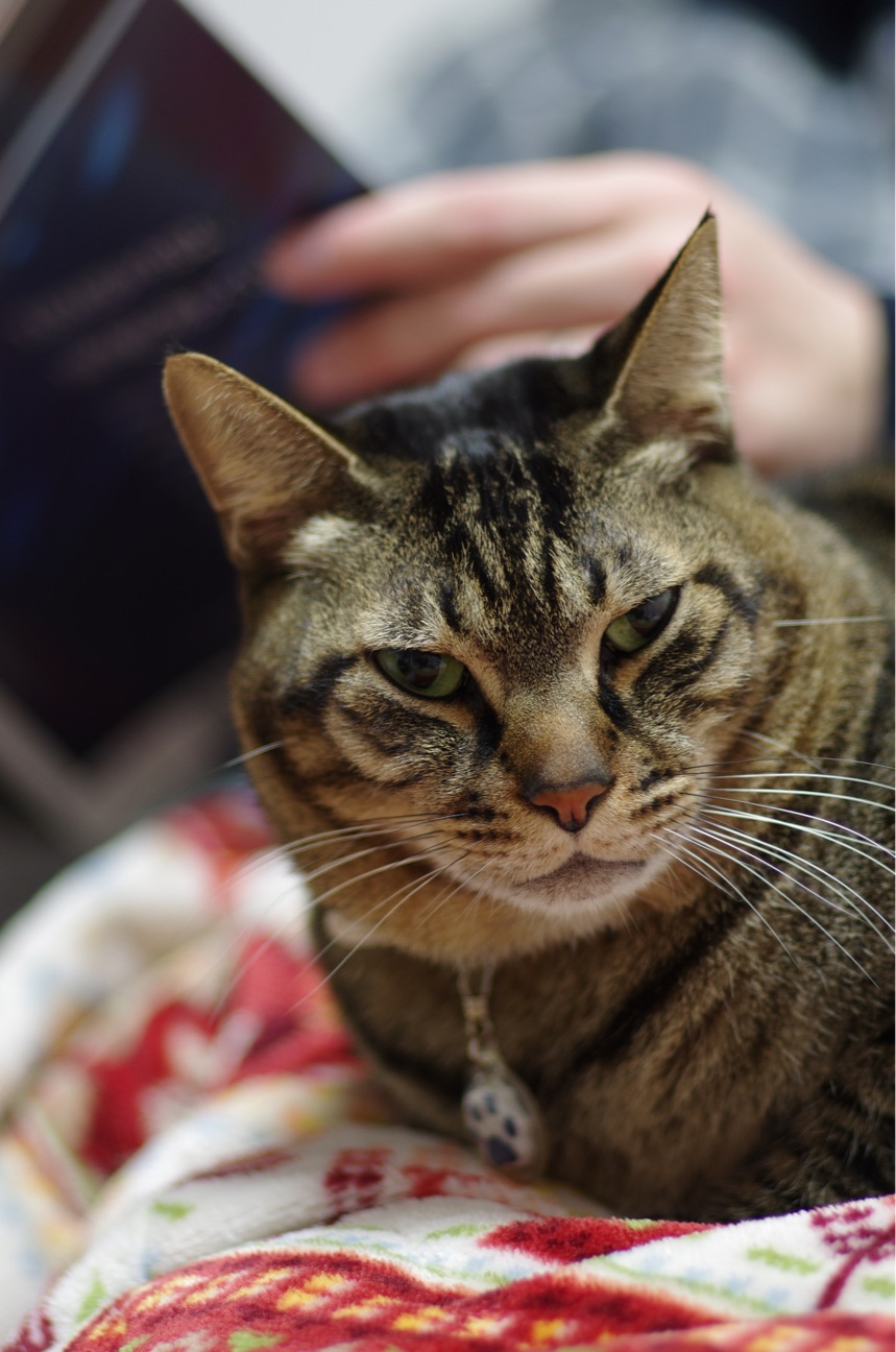 f:id:acopi:20150116133047j:plain