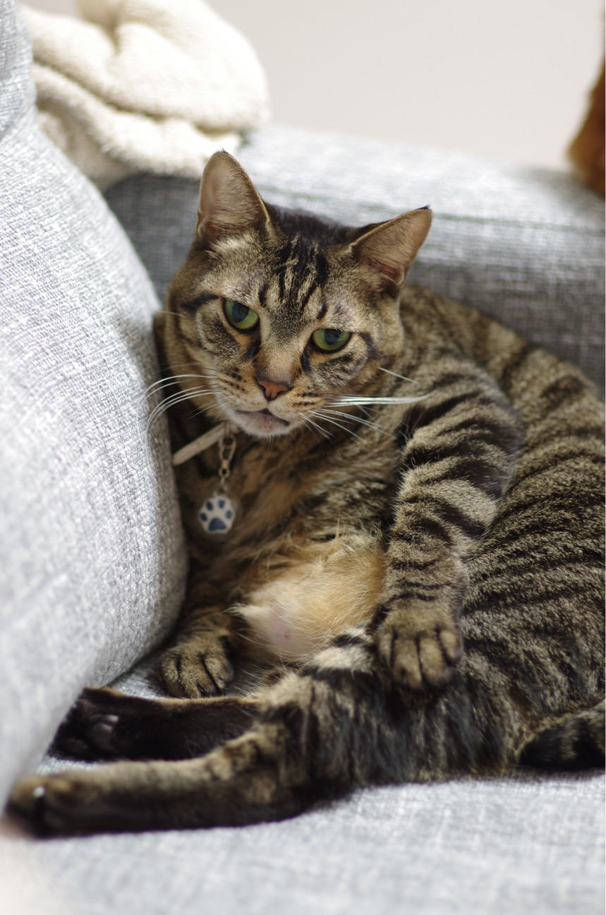 f:id:acopi:20150124005611j:plain