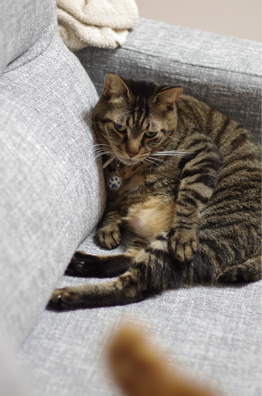 f:id:acopi:20150124005625j:plain