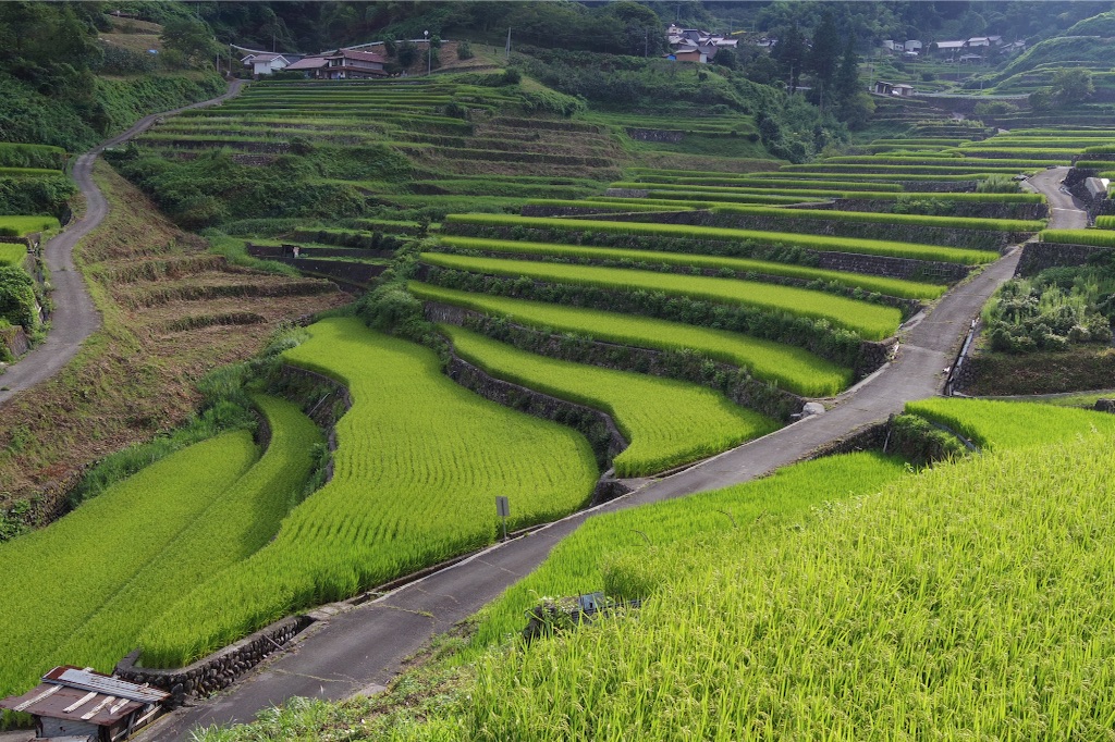 f:id:acopi:20150815141329j:image f:id:acopi:20150815141329j:image