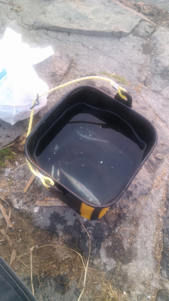 f:id:acucina:20160501050850j:plain f:id:acucina:20160501050850j:plain