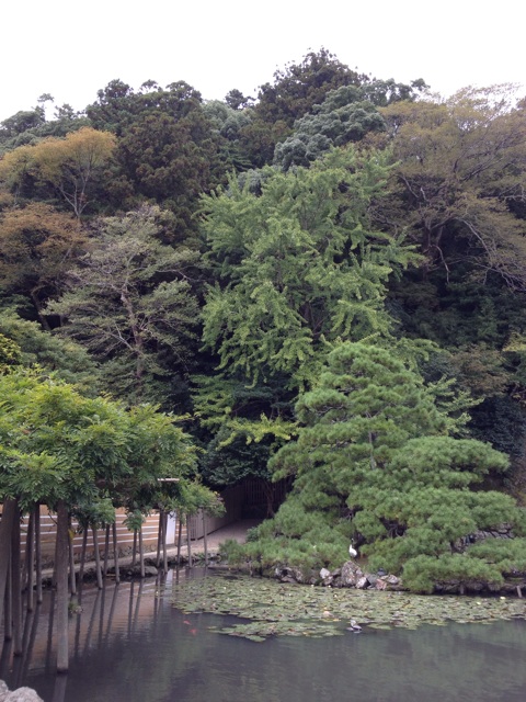 f:id:acupuncturistontheship:20141022180448j:plain f:id:acupuncturistontheship:20141022180448j:plain