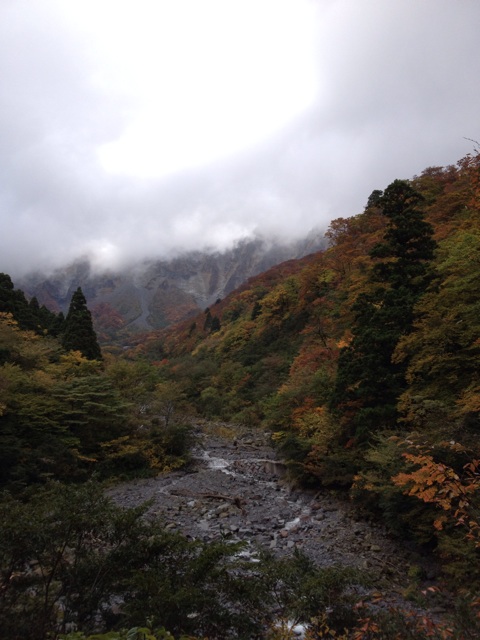 f:id:acupuncturistontheship:20141025073654j:plain f:id:acupuncturistontheship:20141025073654j:plain