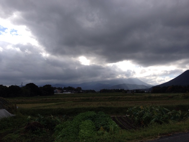 f:id:acupuncturistontheship:20141025073721j:plain f:id:acupuncturistontheship:20141025073721j:plain
