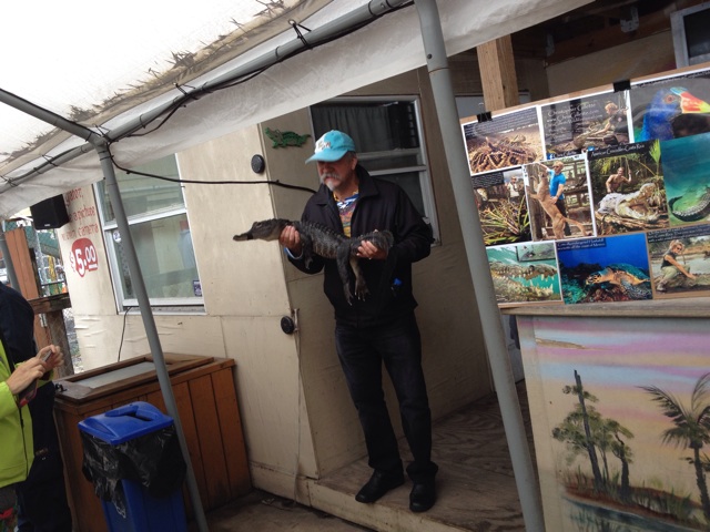 f:id:acupuncturistontheship:20141120134306j:plain f:id:acupuncturistontheship:20141120134306j:plain