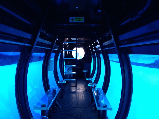 f:id:acupuncturistontheship:20141224014624j:plain f:id:acupuncturistontheship:20141224014624j:plain