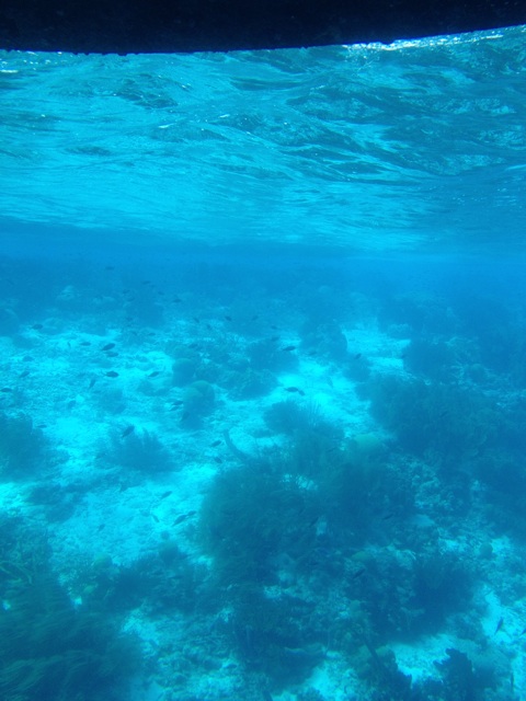 f:id:acupuncturistontheship:20141224015132j:plain f:id:acupuncturistontheship:20141224015132j:plain