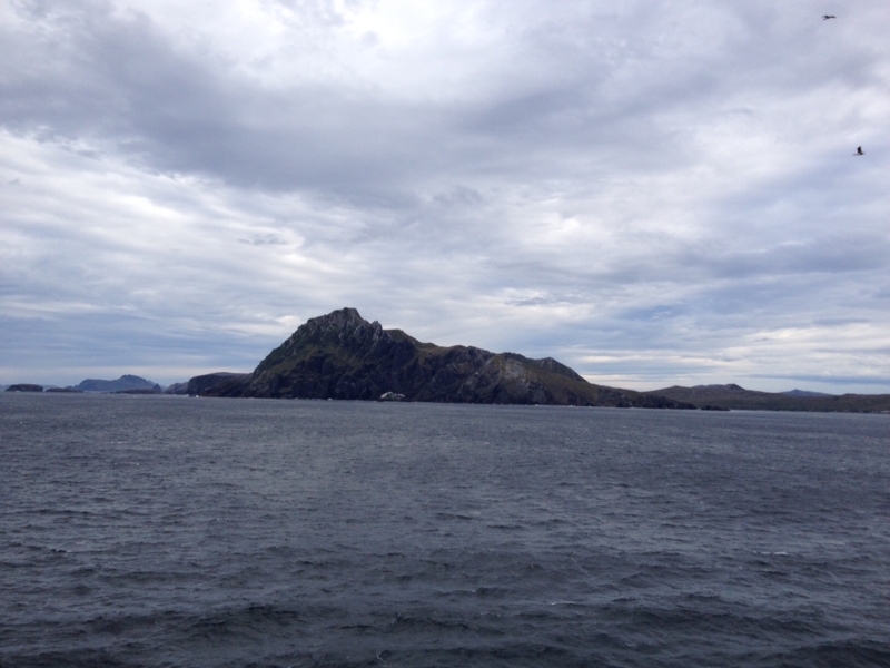 f:id:acupuncturistontheship:20150203194559j:plain f:id:acupuncturistontheship:20150203194559j:plain