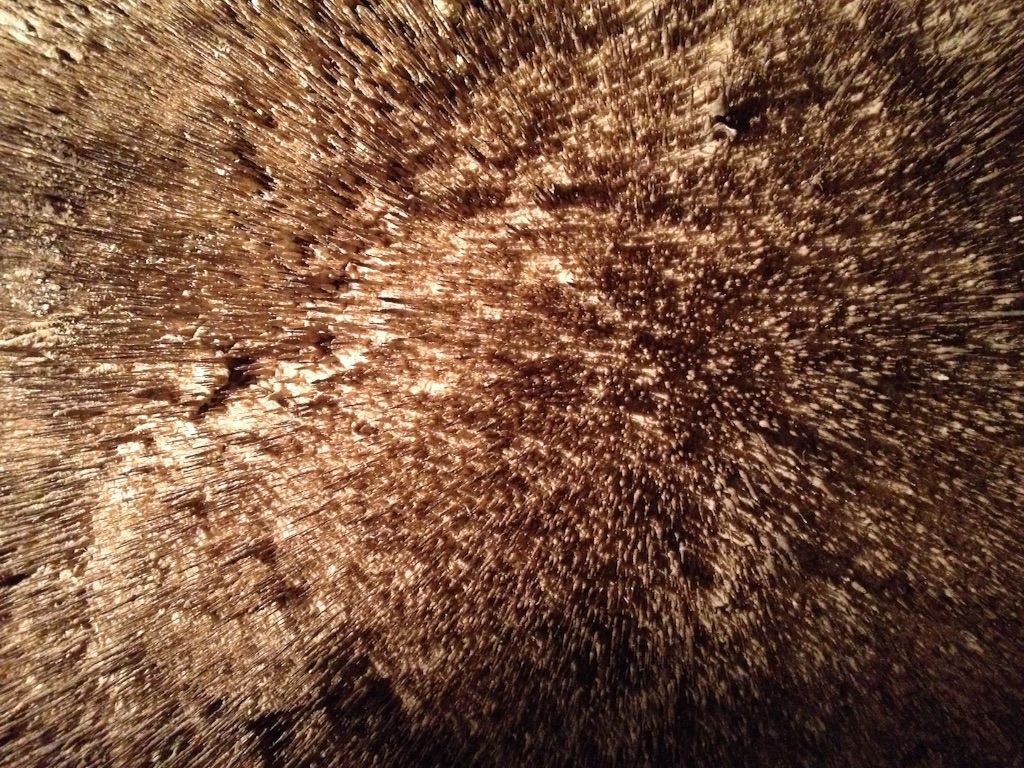 f:id:acupuncturistontheship:20151206063013j:image f:id:acupuncturistontheship:20151206063013j:image