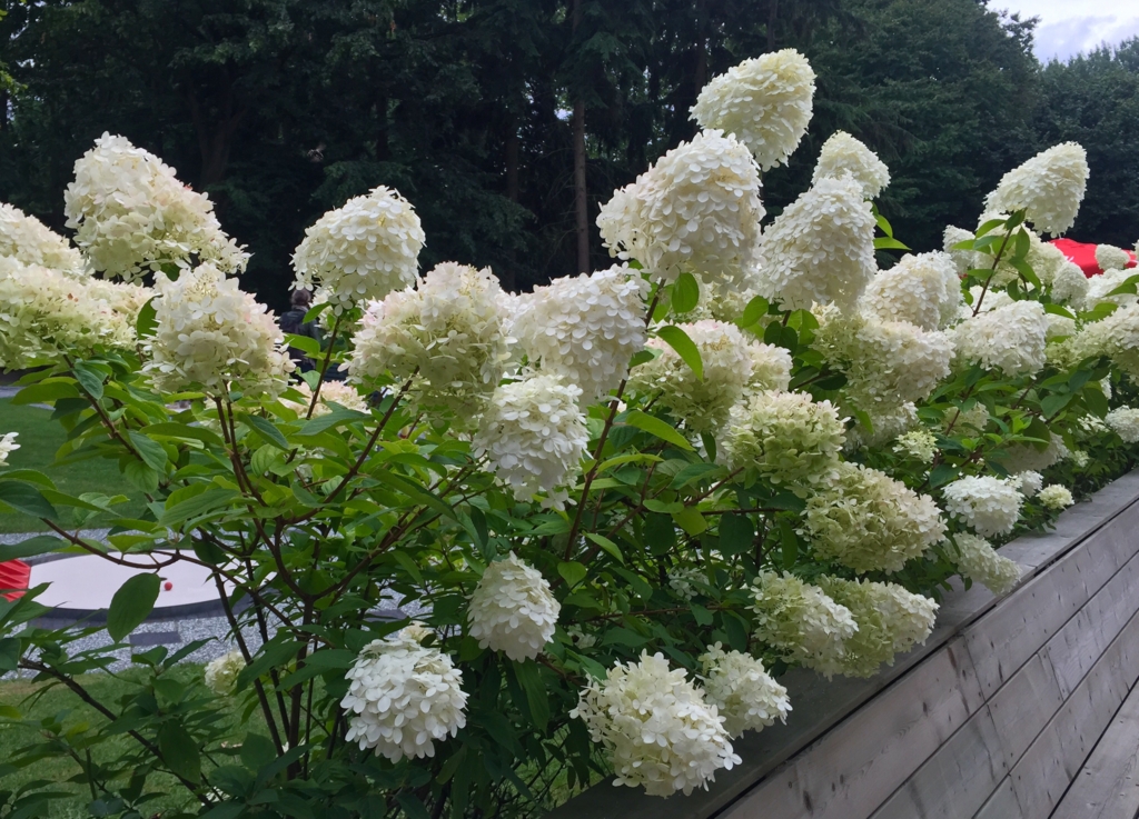 f:id:adamtomoko:20150818184804j:plain f:id:adamtomoko:20150818184804j:plain