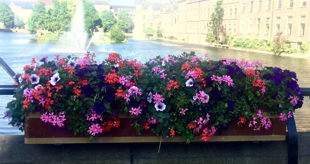 f:id:adamtomoko:20160608234505j:plain