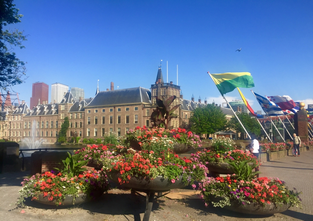 f:id:adamtomoko:20160608234616j:plain