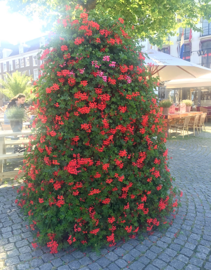 f:id:adamtomoko:20160608234757j:plain