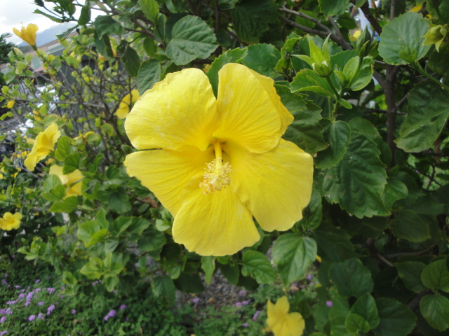 f:id:addieayumi:20151225100708j:plain