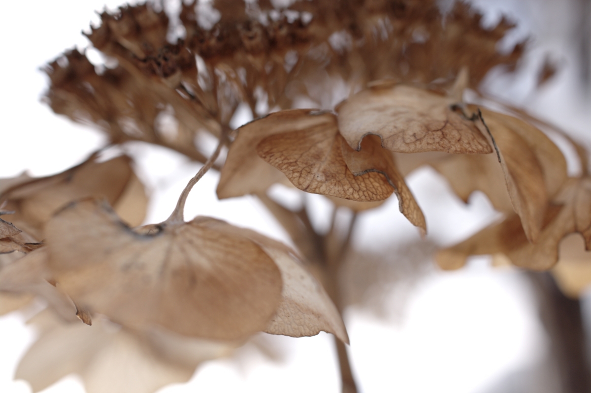 f:id:aereal:20110118141748j:image