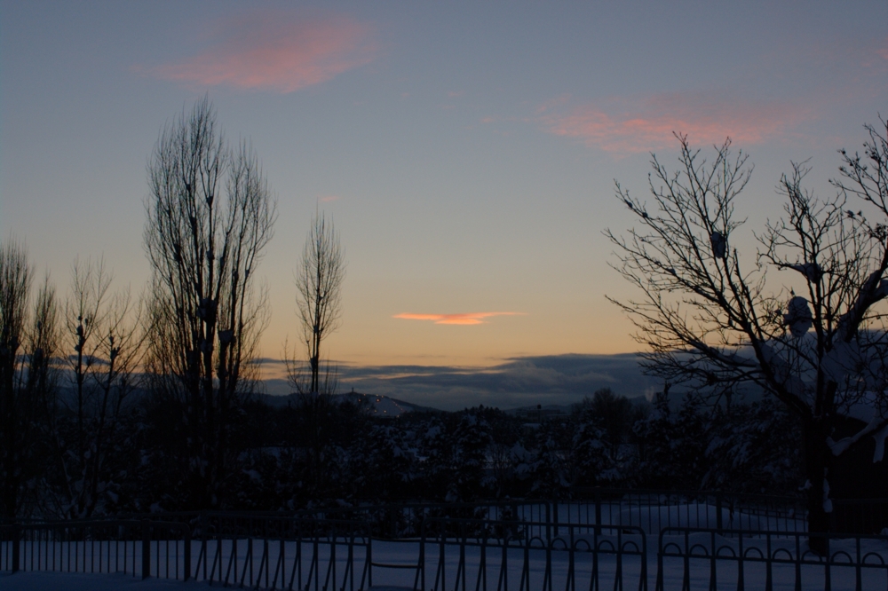 f:id:aereal:20110119162428j:image