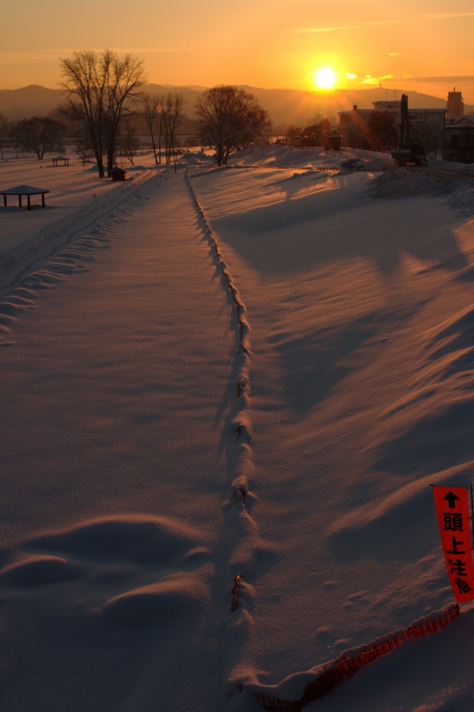 f:id:aereal:20110120160433j:image