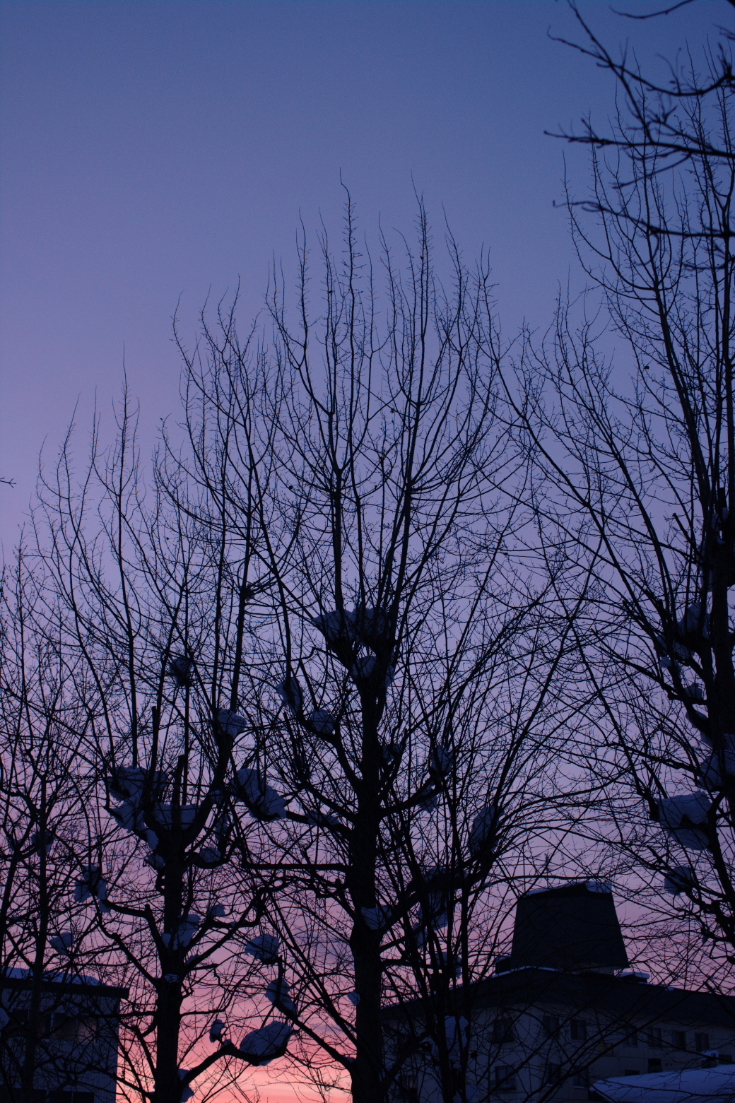 f:id:aereal:20110126163740j:image