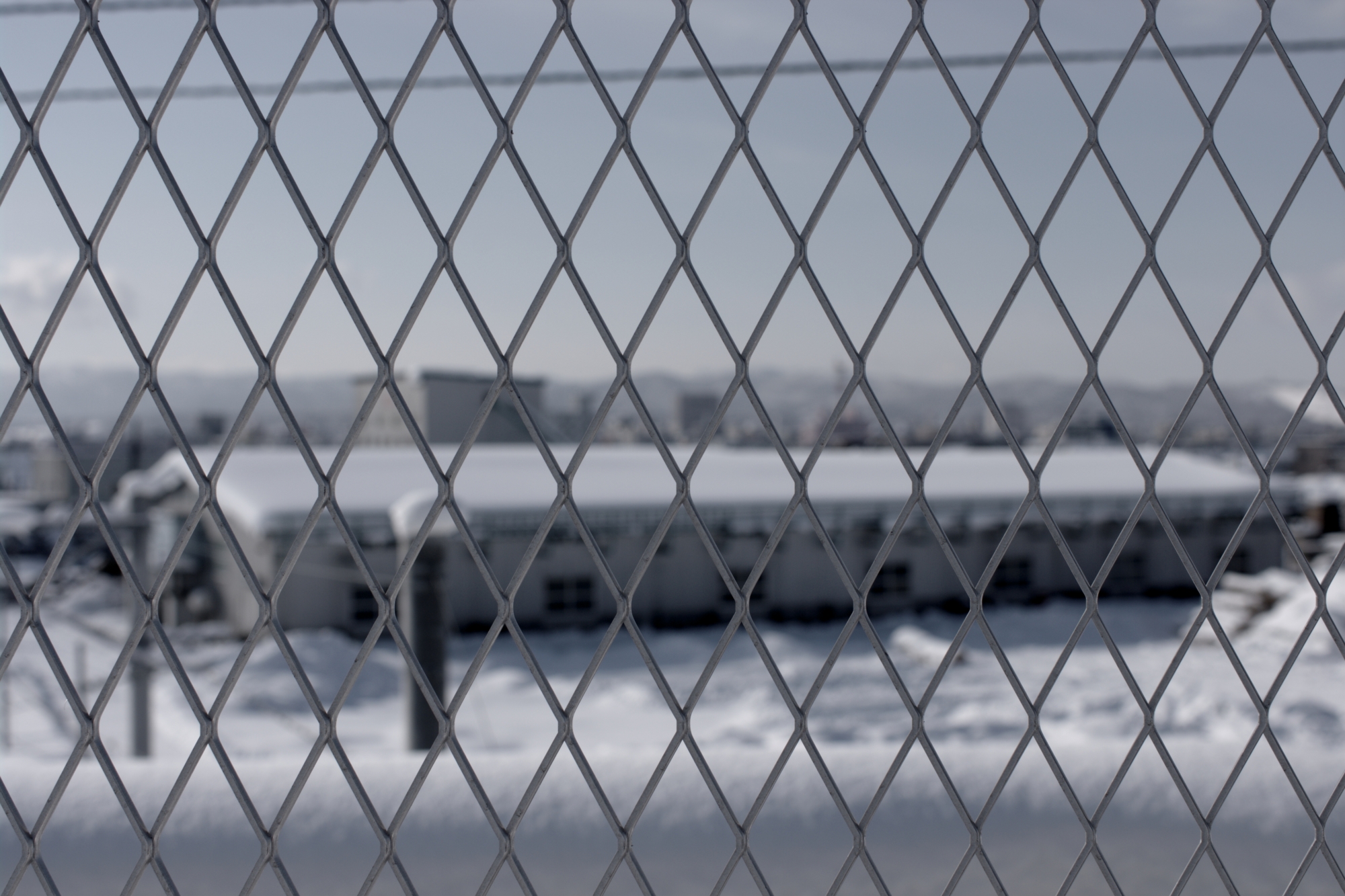 f:id:aereal:20110201110135j:image