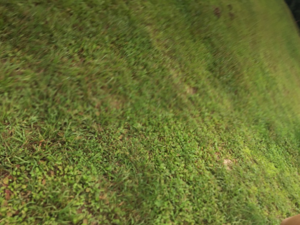 f:id:aesthetics:20151002162931j:image f:id:aesthetics:20151002162931j:image