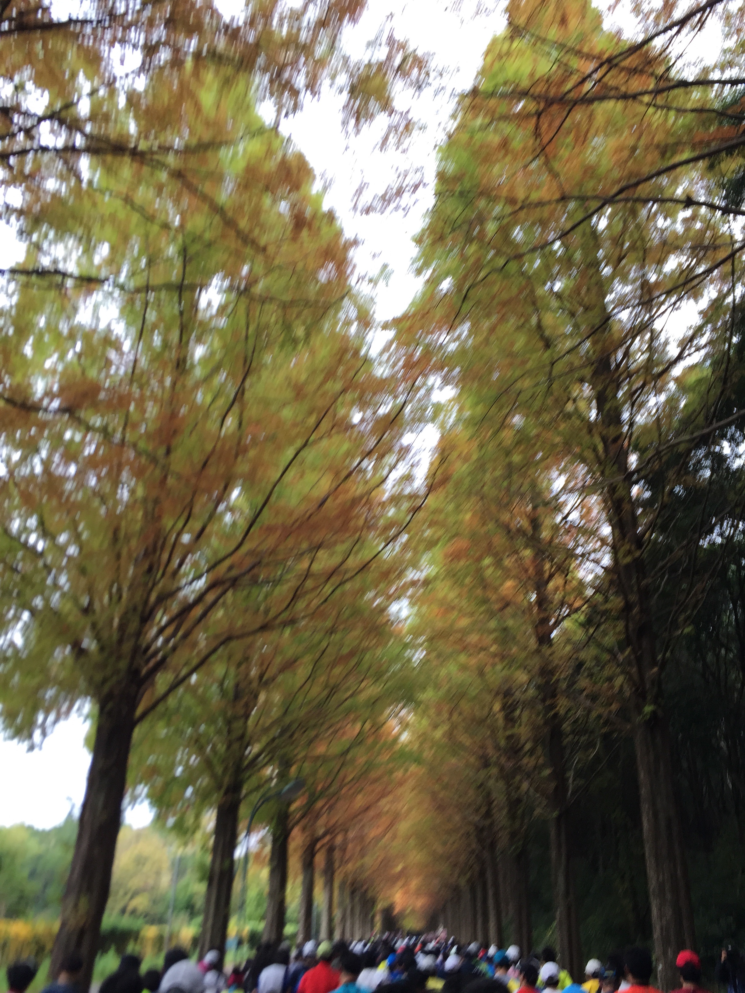 f:id:aesthetics:20151125151840j:image f:id:aesthetics:20151125151840j:image