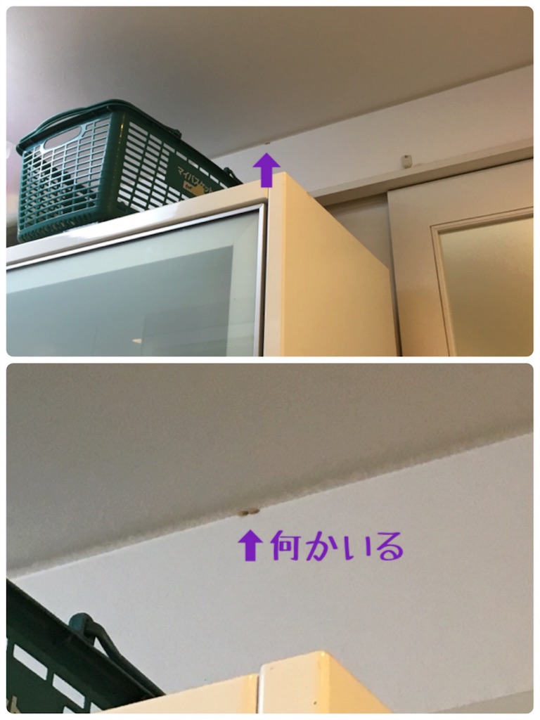 f:id:afugoro:20160310211515j:image f:id:afugoro:20160310211515j:image