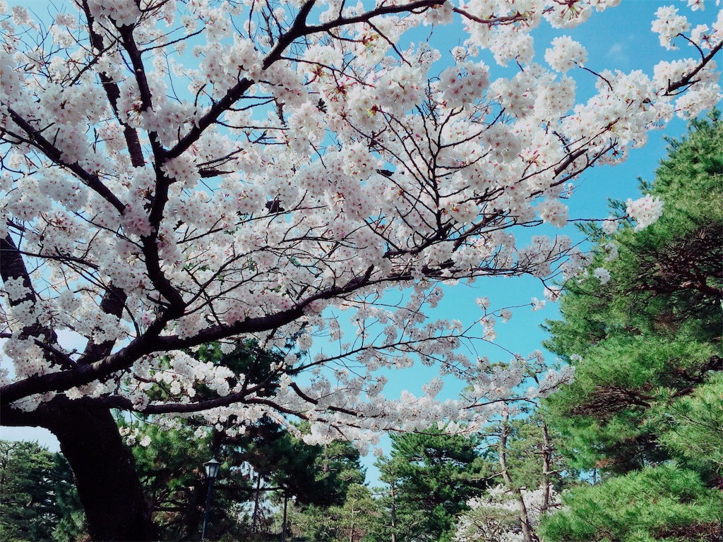 f:id:afugoro:20160402221616j:image f:id:afugoro:20160402221616j:image