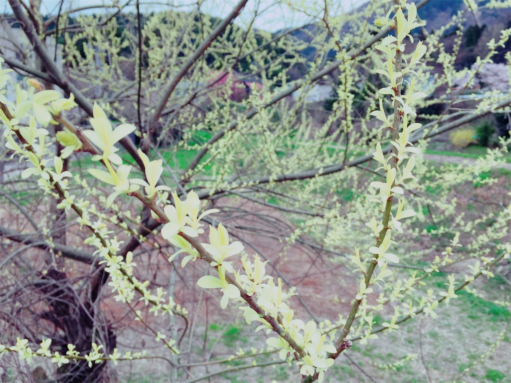 f:id:afugoro:20160404113525j:image f:id:afugoro:20160404113525j:image