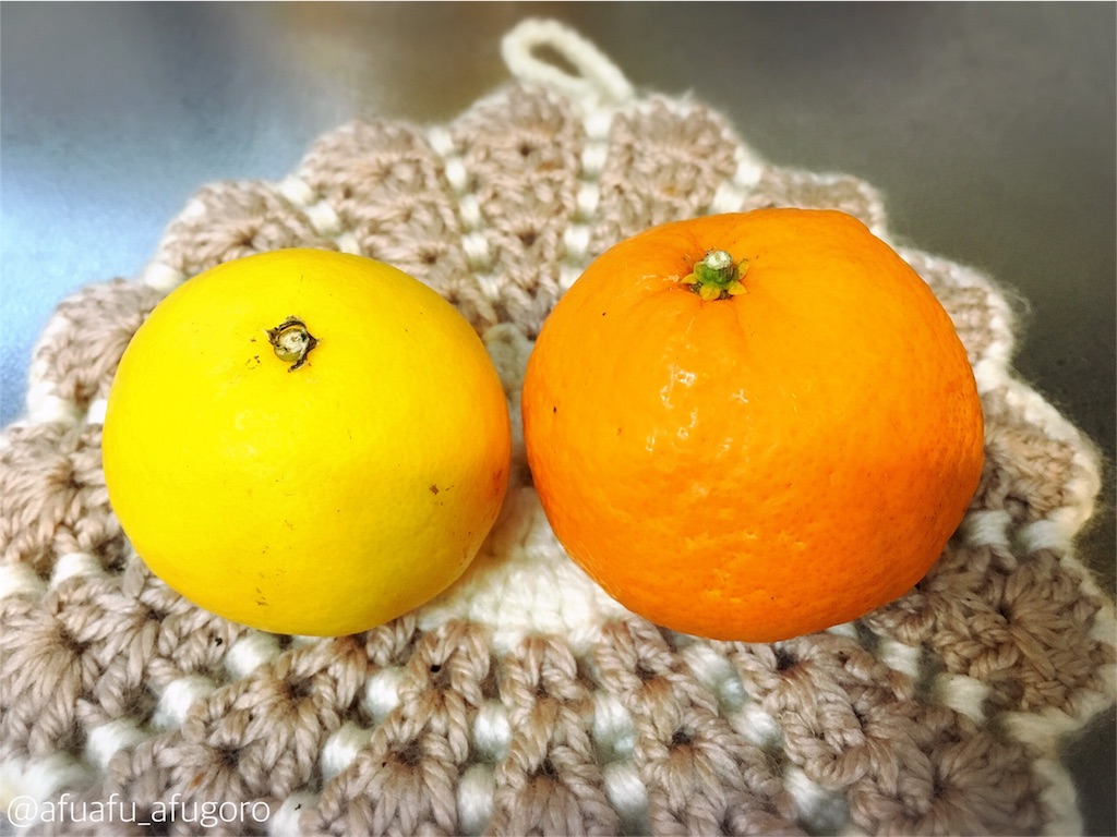 f:id:afugoro:20160424184753j:image f:id:afugoro:20160424184753j:image