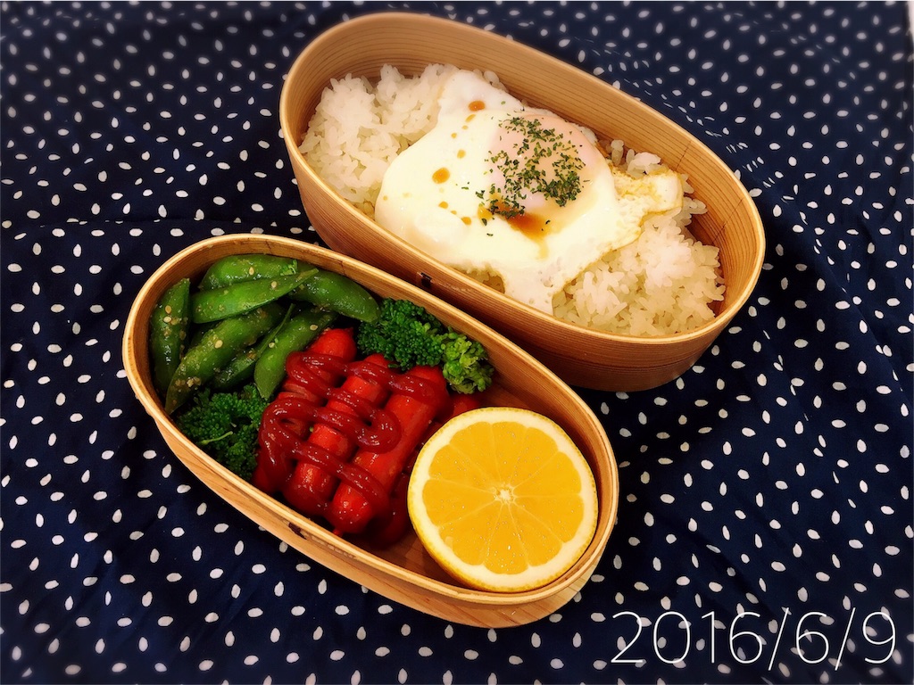 f:id:afugoro:20160630101309j:image f:id:afugoro:20160630101309j:image