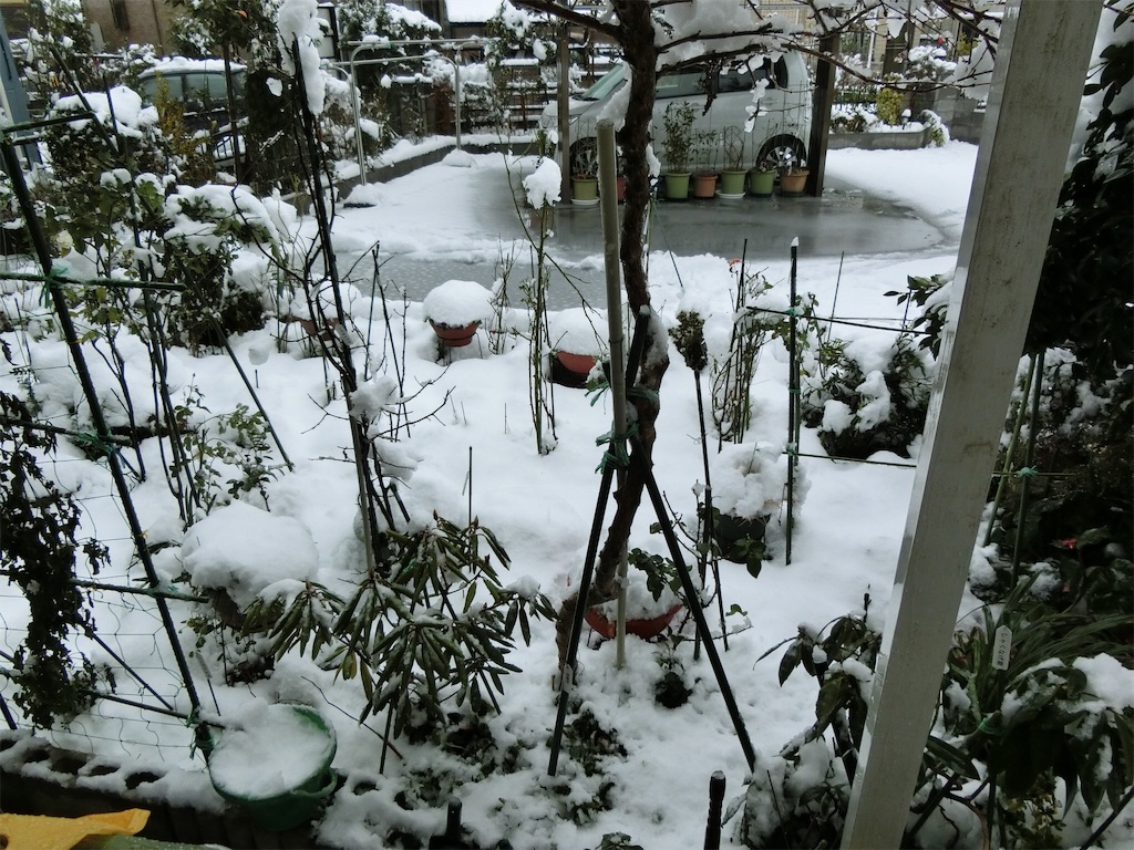 f:id:ageo3941:20160209173358j:image f:id:ageo3941:20160209173358j:image