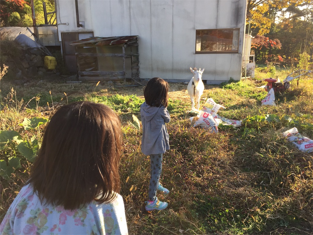 f:id:ageprock:20151025092905j:image f:id:ageprock:20151025092905j:image