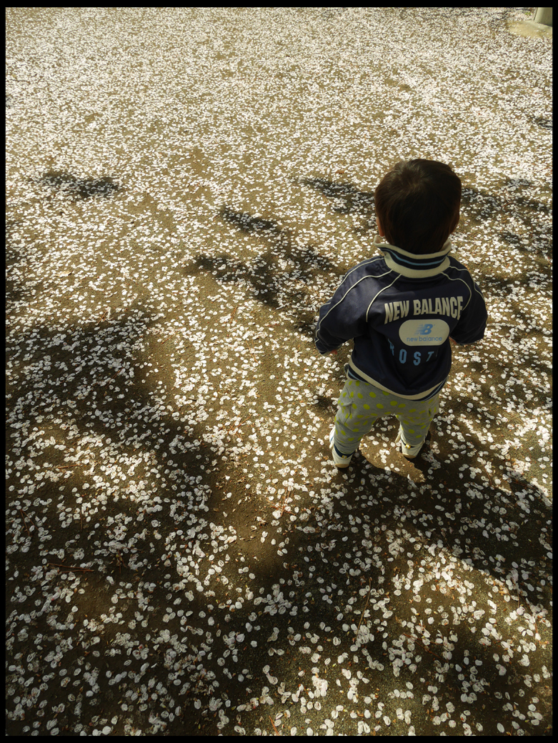f:id:agincyu:20140407172632j:plain