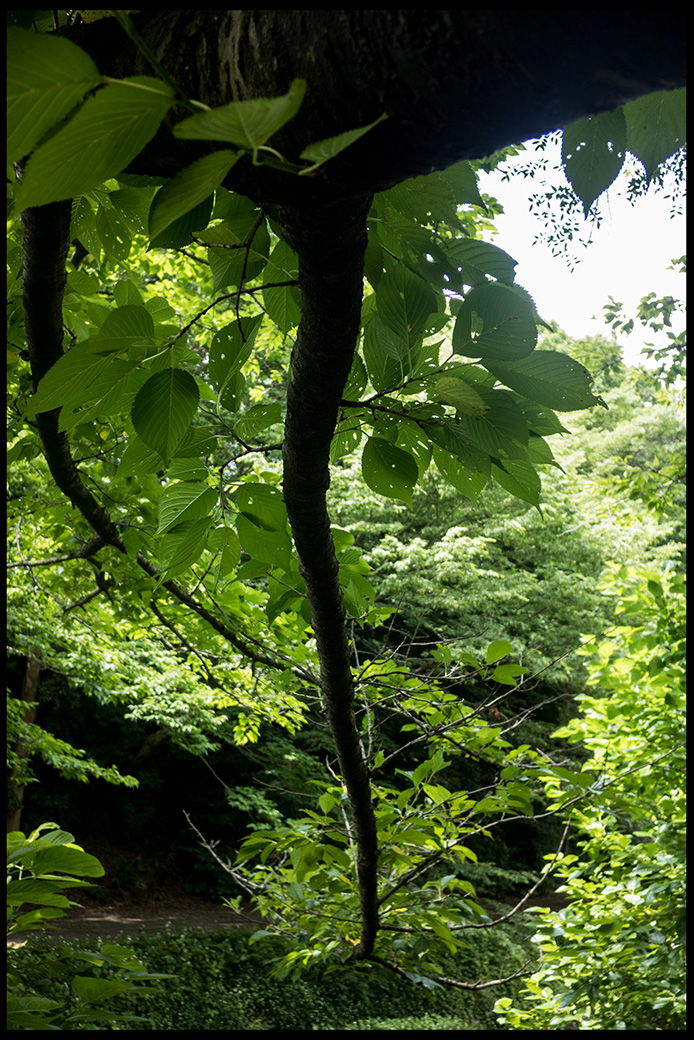 f:id:agincyu:20160612171802j:plain