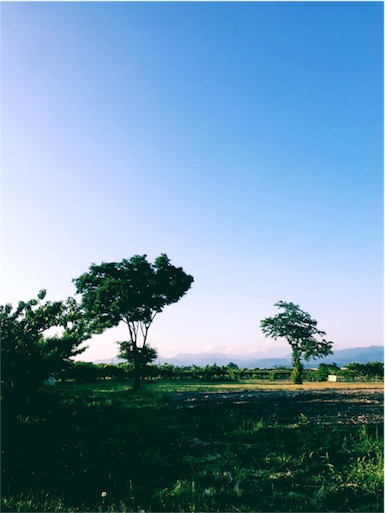 f:id:ahahami:20160607124220j:image f:id:ahahami:20160607124220j:image