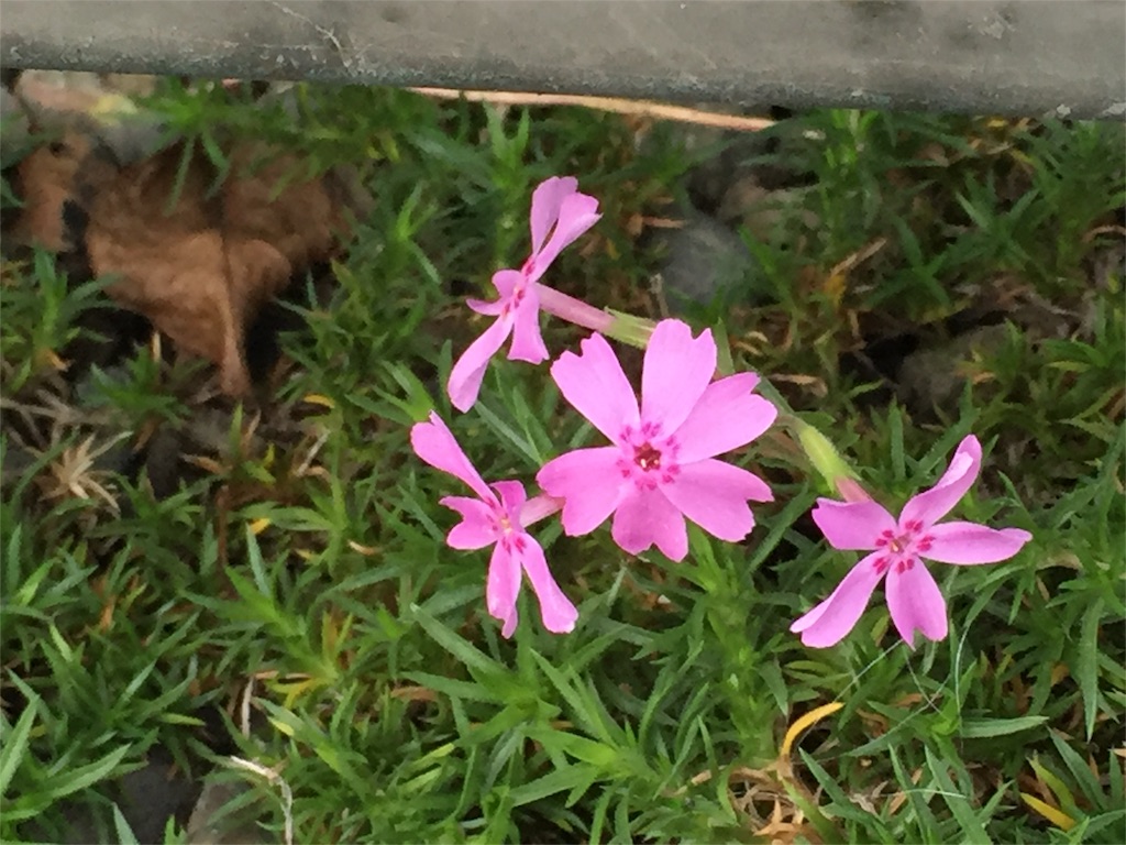 f:id:ahirutouban:20151016103533j:image f:id:ahirutouban:20151016103533j:image