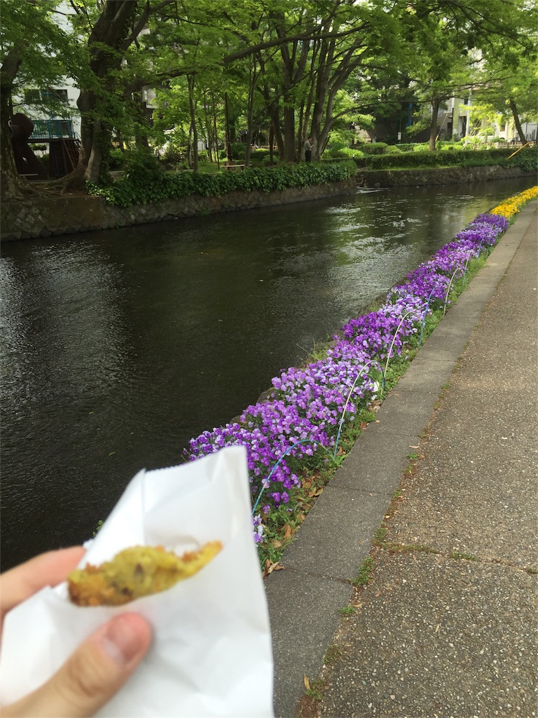 f:id:ahoeight:20160502150621j:image f:id:ahoeight:20160502150621j:image
