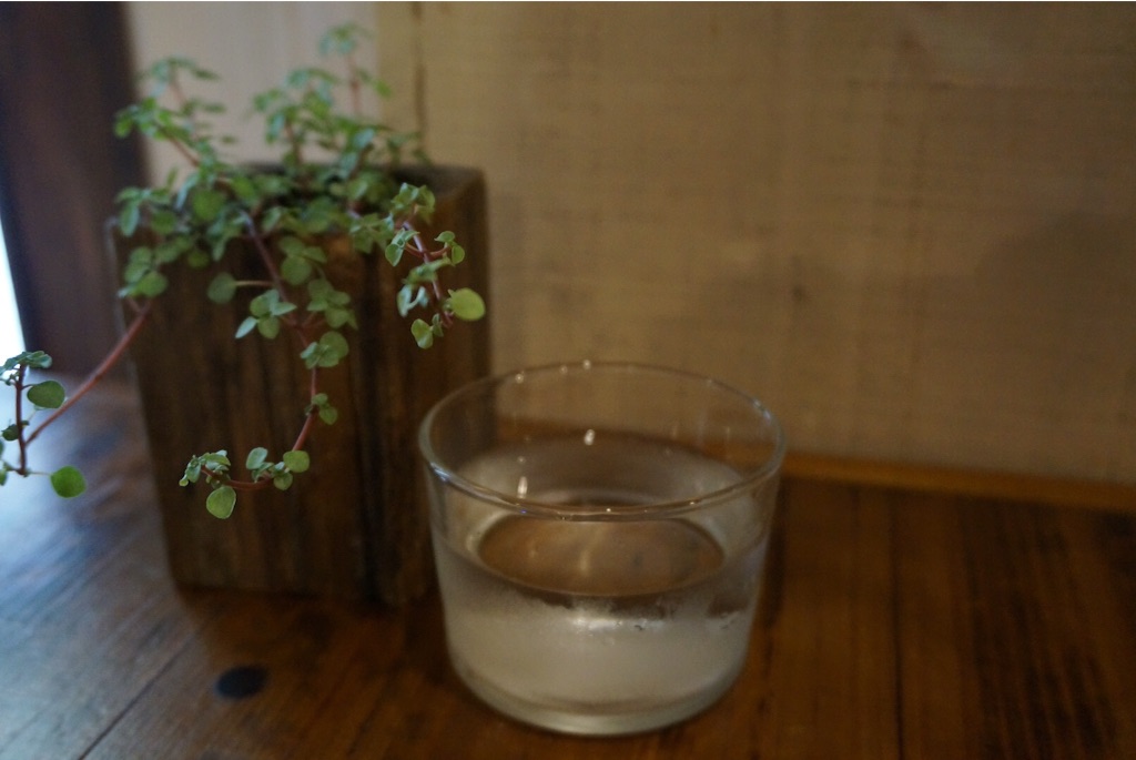 お冷のグラスと観葉植物