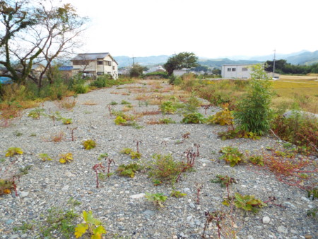 f:id:aigawa2007:20141015145808j:plain f:id:aigawa2007:20141015145808j:plain